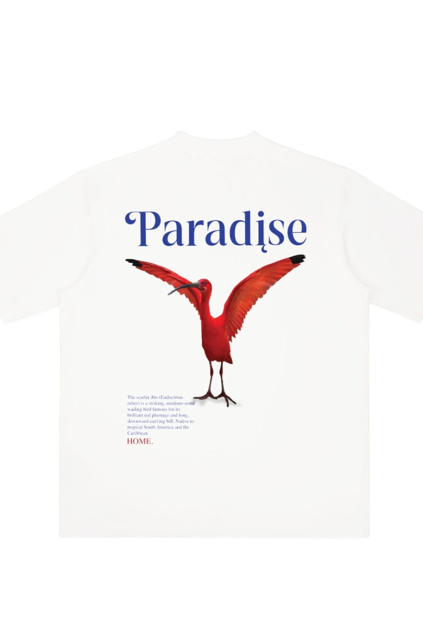 Scarlet Ibis Drop Shoulder T-shirt